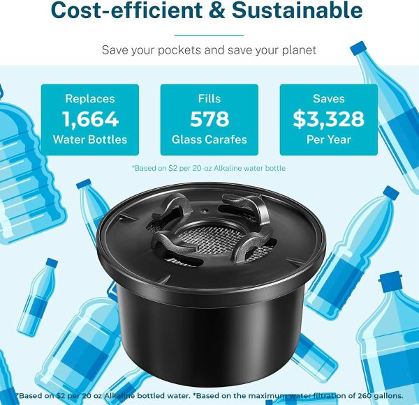 Bluevua RO Remineralization Filter Alkaline Water pH Balance-3