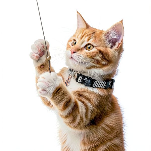 Breakaway Cat Collar Tucnoeu Polyester Safety-5