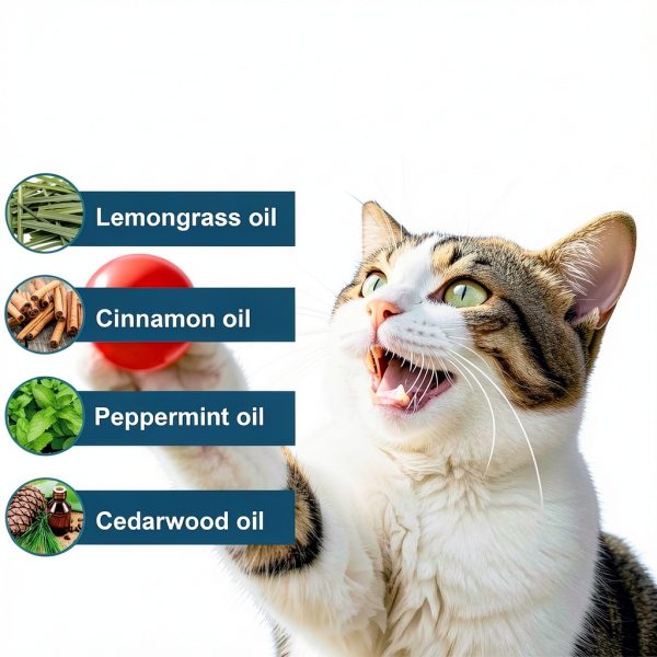 Natural Cat Flea Collars by Advanllent-2
