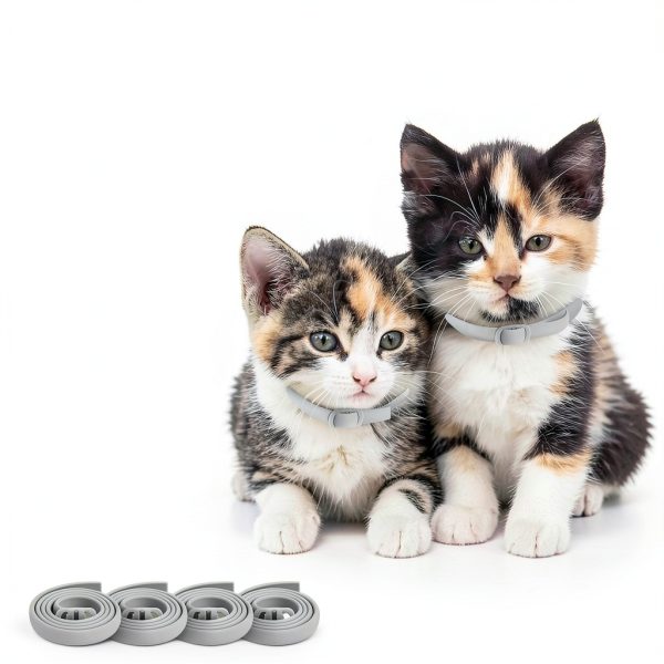 ProElobara Cat Flea Collars 4-Pack Waterproof-3