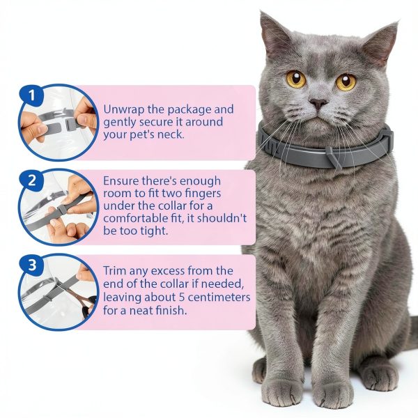 Cat Flea Collar ZHEJIANG Waterproof 60Day-6