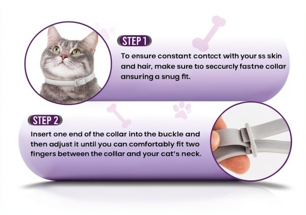 Cat Flea Collar Glantu Waterproof Adjustable-4