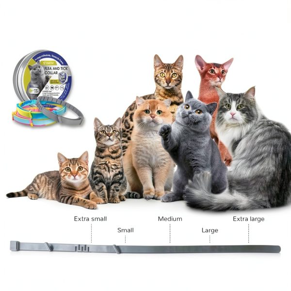 Cat Flea Collar ZHEJIANG Waterproof 60Day-5