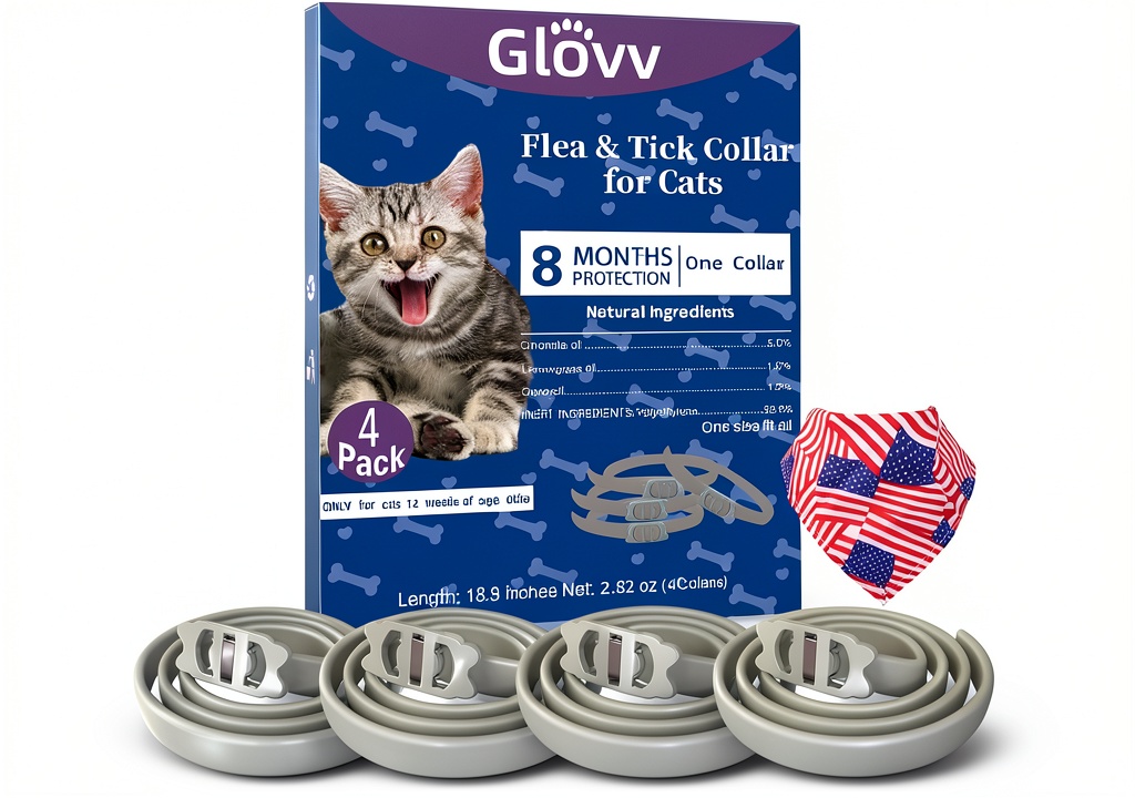 Cat wearing Ningbo Grand flea and tick collar outdoors