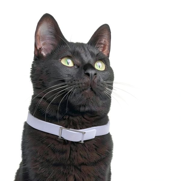 Adams Flea & Tick Collar for Cats 2‑Pack 7‑Month Protection Breakaway-3