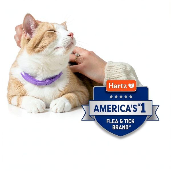 Hartz ProMax Cat Flea Collar 2 Pack Soft Flexible Breakaway Design-7